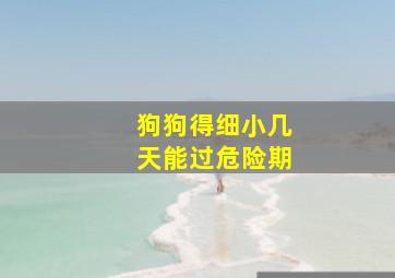 狗狗得细小几天能过危险期