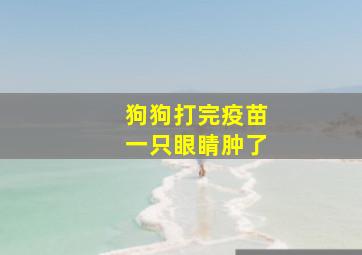 狗狗打完疫苗一只眼睛肿了