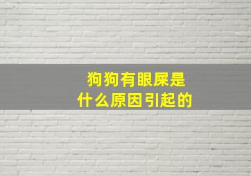 狗狗有眼屎是什么原因引起的