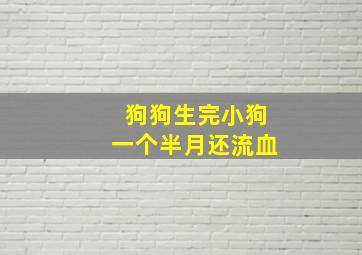 狗狗生完小狗一个半月还流血