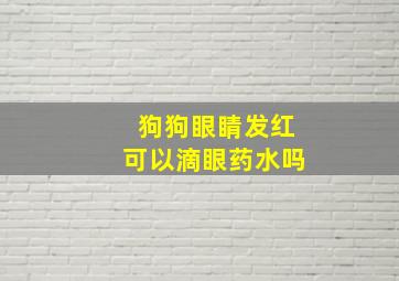 狗狗眼睛发红可以滴眼药水吗