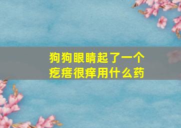 狗狗眼睛起了一个疙瘩很痒用什么药