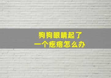 狗狗眼睛起了一个疙瘩怎么办