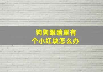 狗狗眼睛里有个小红块怎么办