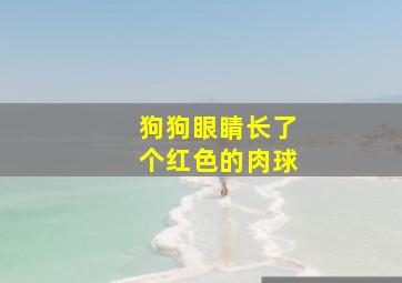 狗狗眼睛长了个红色的肉球