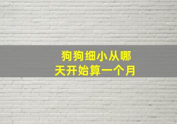 狗狗细小从哪天开始算一个月