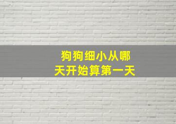 狗狗细小从哪天开始算第一天