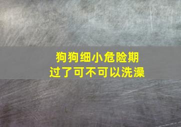 狗狗细小危险期过了可不可以洗澡