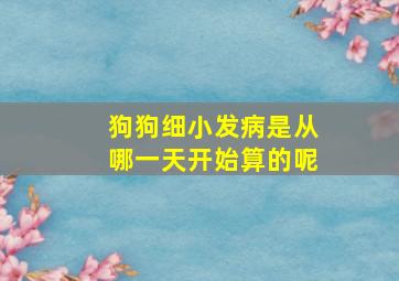 狗狗细小发病是从哪一天开始算的呢