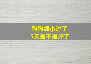 狗狗细小过了5天是不是好了