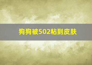 狗狗被502粘到皮肤