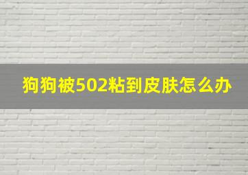 狗狗被502粘到皮肤怎么办