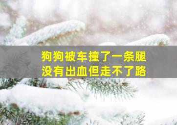 狗狗被车撞了一条腿没有出血但走不了路