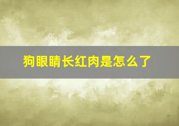 狗眼睛长红肉是怎么了