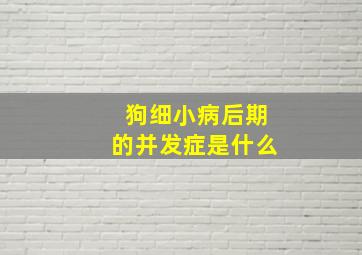 狗细小病后期的并发症是什么