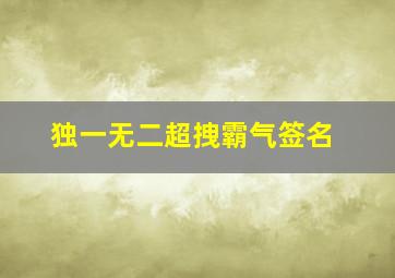 独一无二超拽霸气签名