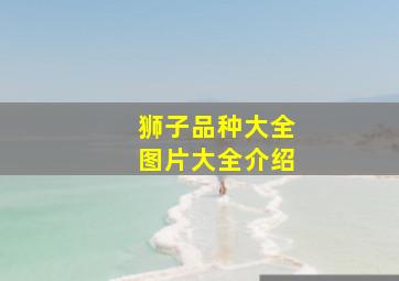 狮子品种大全图片大全介绍