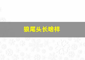 狼尾头长啥样