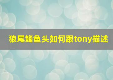 狼尾鲻鱼头如何跟tony描述