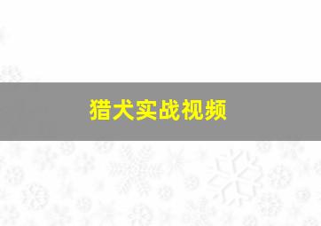 猎犬实战视频