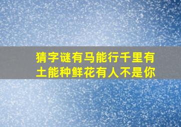 猜字谜有马能行千里有土能种鲜花有人不是你