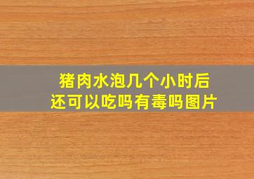 猪肉水泡几个小时后还可以吃吗有毒吗图片