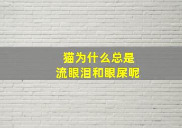 猫为什么总是流眼泪和眼屎呢