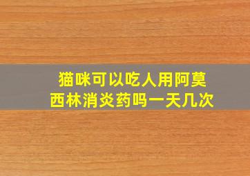 猫咪可以吃人用阿莫西林消炎药吗一天几次