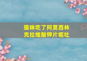 猫咪吃了阿莫西林克拉维酸钾片呕吐