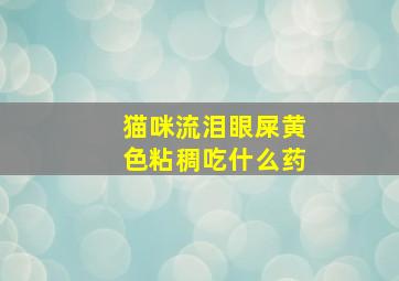 猫咪流泪眼屎黄色粘稠吃什么药