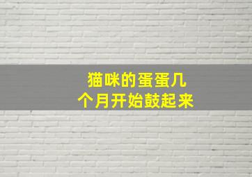 猫咪的蛋蛋几个月开始鼓起来