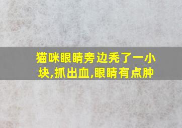 猫咪眼睛旁边秃了一小块,抓出血,眼睛有点肿