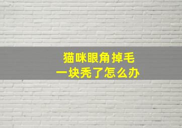 猫咪眼角掉毛一块秃了怎么办