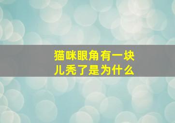 猫咪眼角有一块儿秃了是为什么