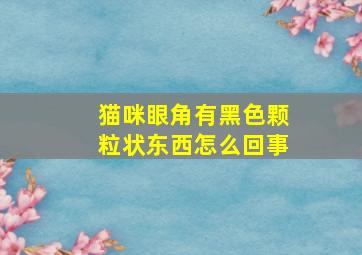 猫咪眼角有黑色颗粒状东西怎么回事