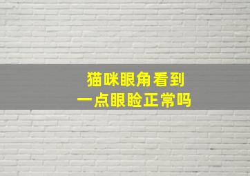 猫咪眼角看到一点眼睑正常吗