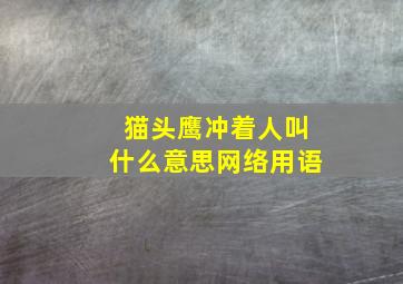 猫头鹰冲着人叫什么意思网络用语