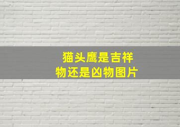 猫头鹰是吉祥物还是凶物图片