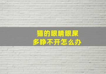 猫的眼睛眼屎多睁不开怎么办