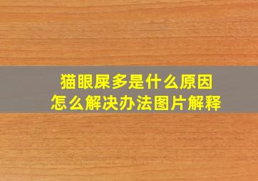 猫眼屎多是什么原因怎么解决办法图片解释