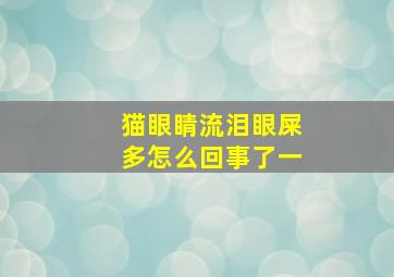 猫眼睛流泪眼屎多怎么回事了一