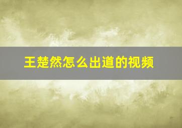 王楚然怎么出道的视频