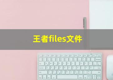 王者files文件