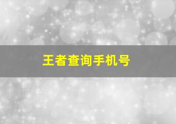 王者查询手机号