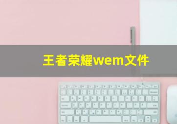 王者荣耀wem文件