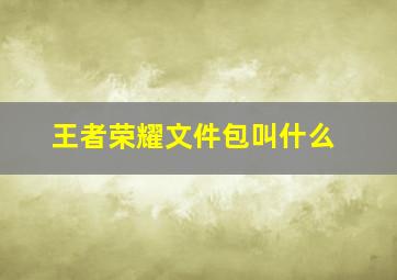 王者荣耀文件包叫什么