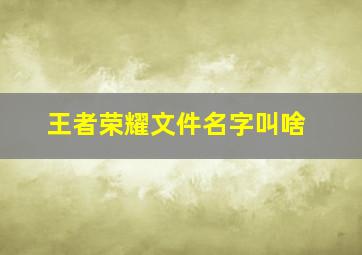 王者荣耀文件名字叫啥