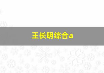 王长明综合a