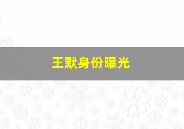 王默身份曝光