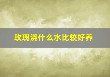 玫瑰浇什么水比较好养